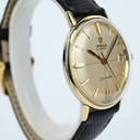 Omega Seamaster Crosshair 14770-61SC.webp