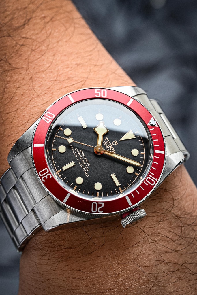 Tudor Black Bay 79230R